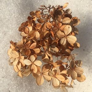 Meet your Posher, Dylan